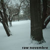 Raw Novembre - My Bones